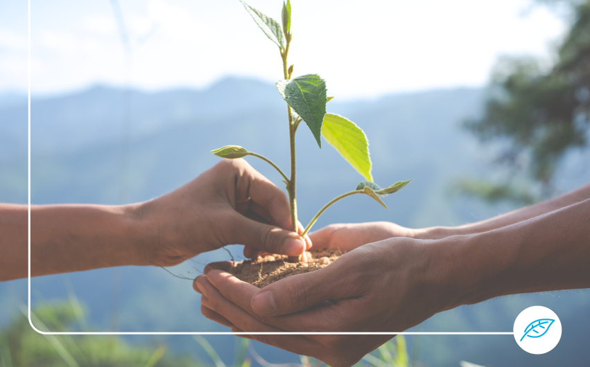 OZ Energia e a Economia Circular