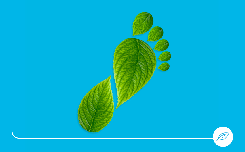 Plataforma de promoção dos combustíveis de baixo carbono