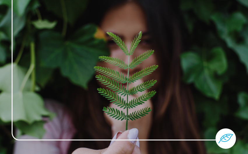 O que é o Incentivo pela Introdução no Consumo de Veículos de Emissões Nulas (VEN 2022)?